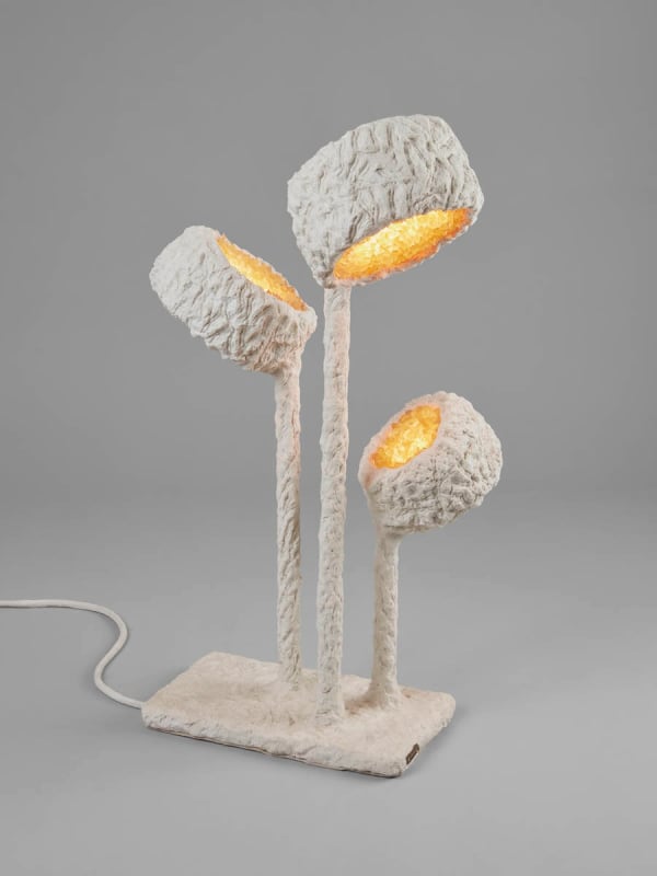 Nacho Carbonell Luciferase XLVIII