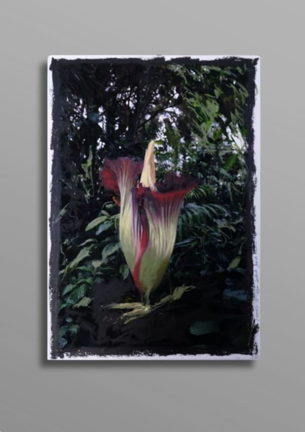 Charlotte Cornaton Fleur Cadavre II