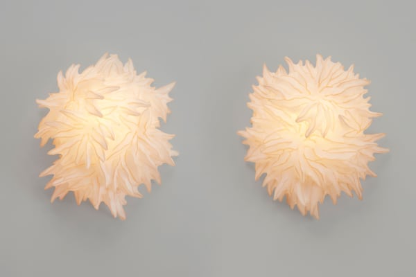 Ayala Serfaty Tara Lehdu, 2021