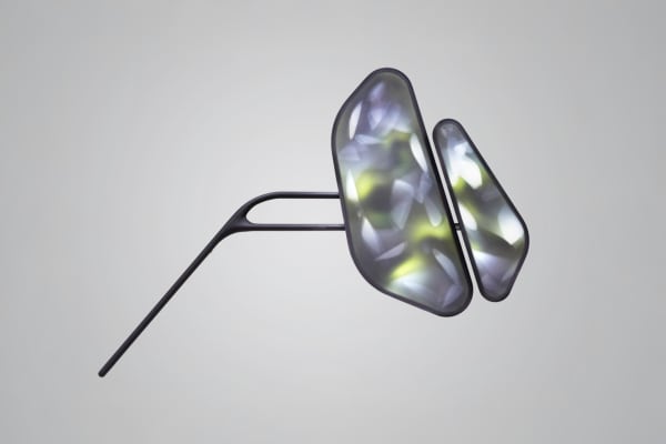 Naturoscopie II (W2)