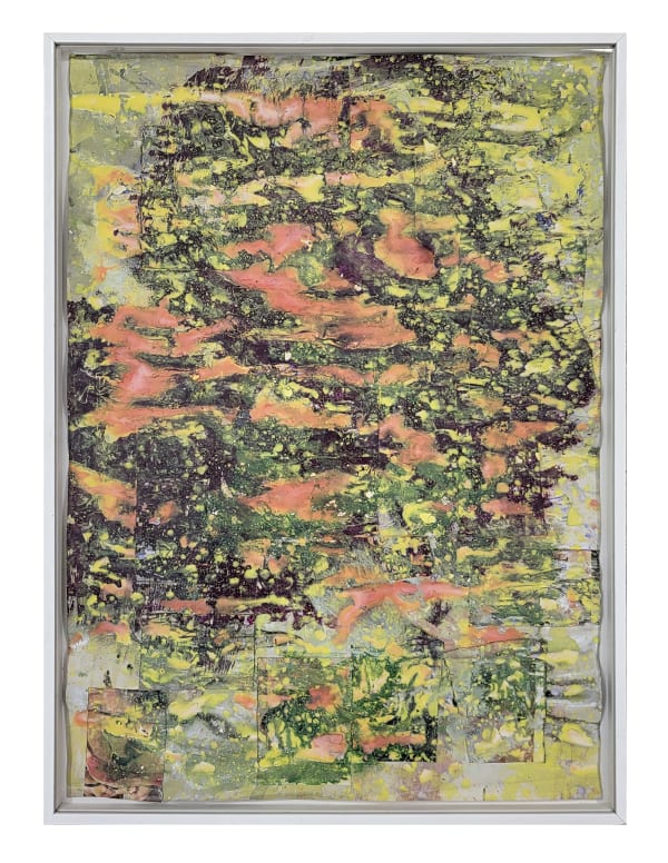 Adrian SCHIESS, Mimosas / Couché de soleil, 2011