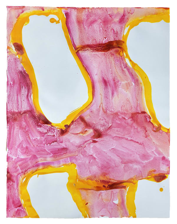 Claude VIALLAT Sans Titre, 2022 65 x 60 cm