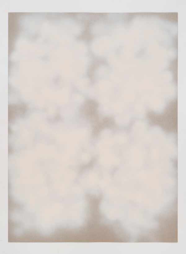 Thomas MÜLLER Sans titre , 2024 76,8 x 56,8 cm.