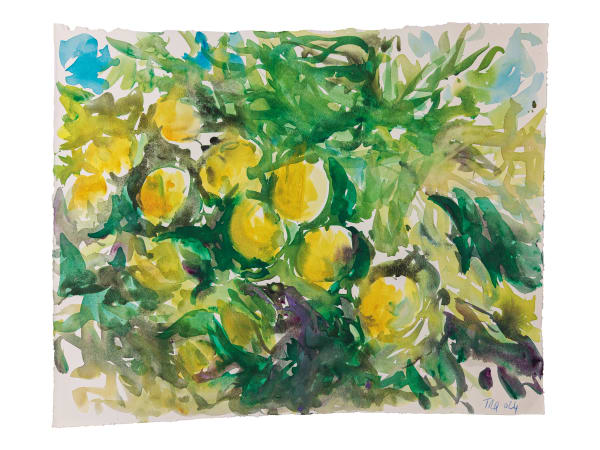 Gérard TRAQUANDI, Sans titre , 2024