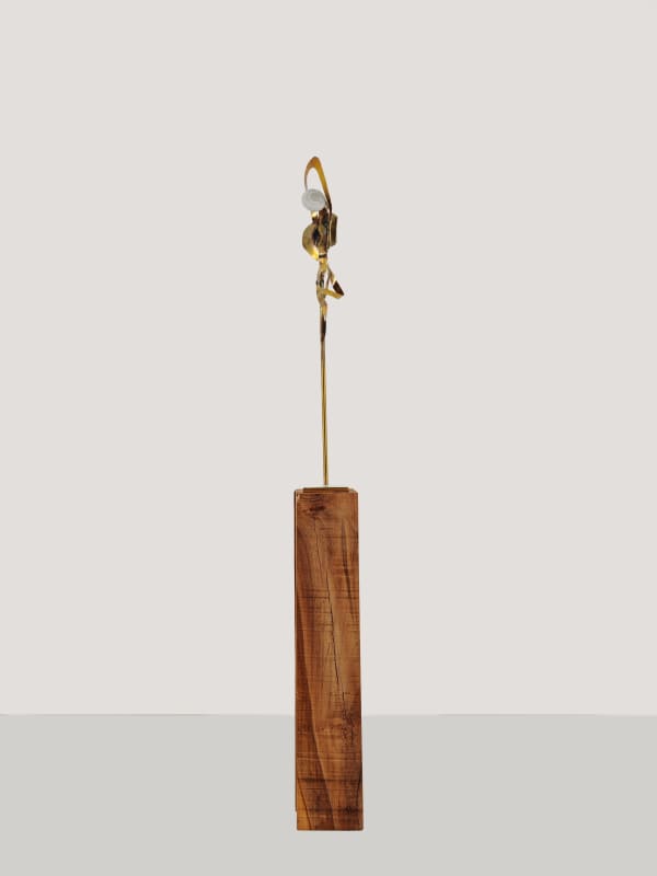 Martin BELOU, Venus, 2025