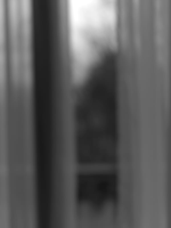 Alexandre DUFAYE, Les fantômes de San Servolo, 2018