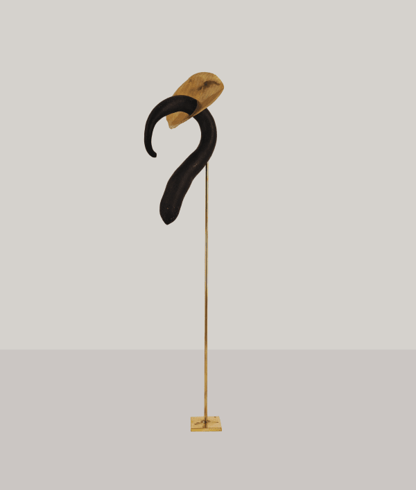 Martin BELOU, Organe, 2025