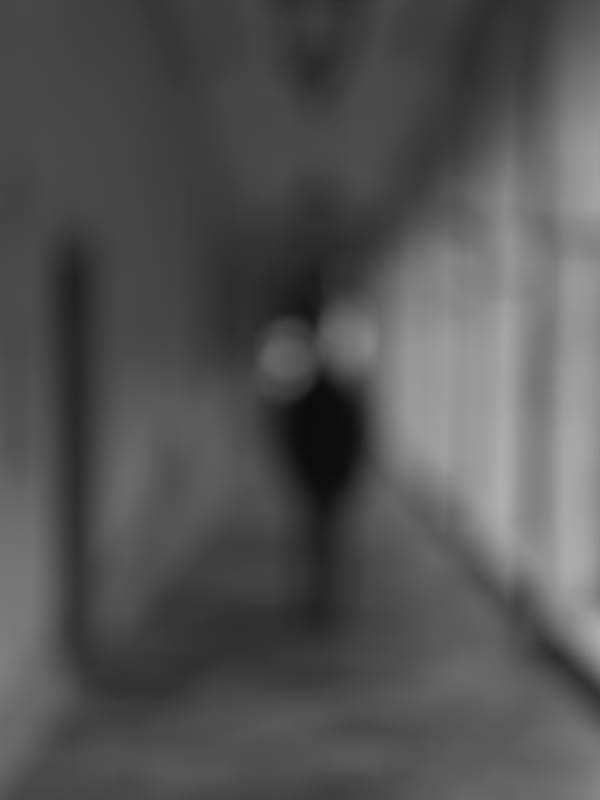 Alexandre DUFAYE, Les fantômes de San Servolo, 2018