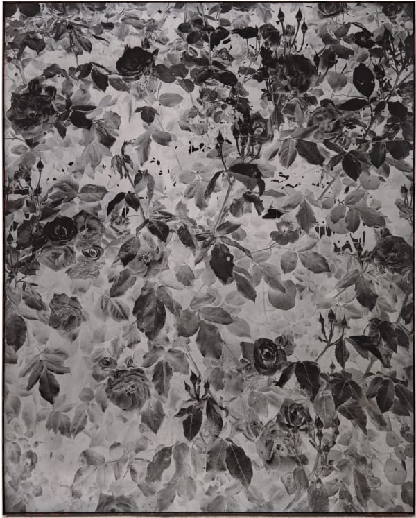 Gérard TRAQUANDI, Rosiers, Porquerolles, 2008