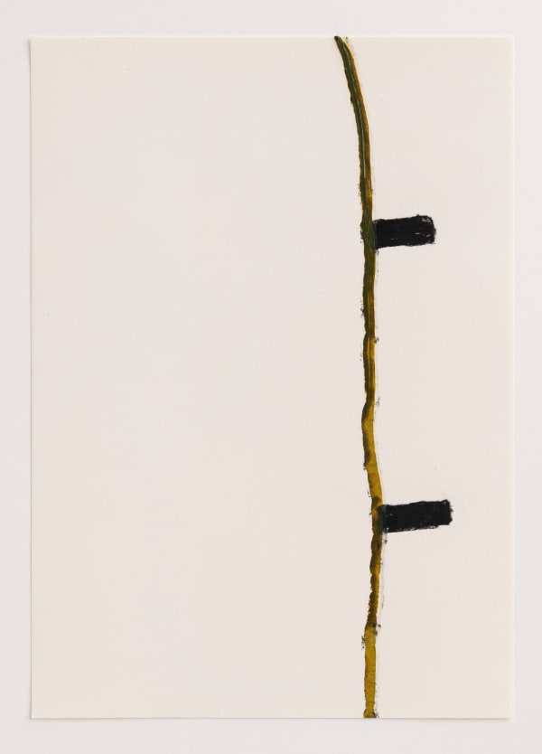 Thomas MÜLLER Sans titre , 2022 29,7 x 21 cm
