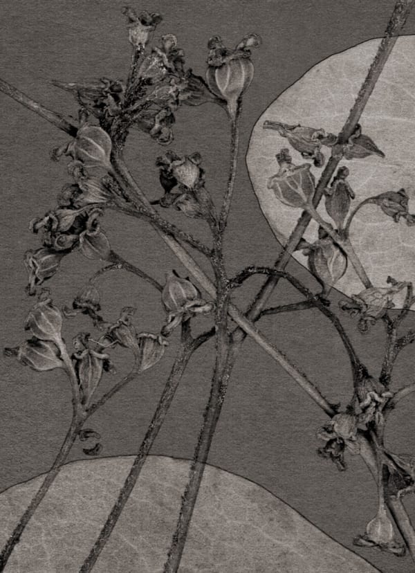 FLORE, Un jardin pour Eugène D. #06, 2022