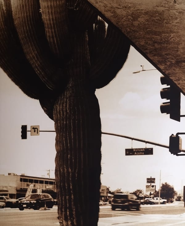 Guillaume Zuili, Cactus Junction, 2022