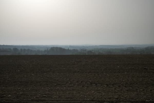 Sans titre (Perche) n°10