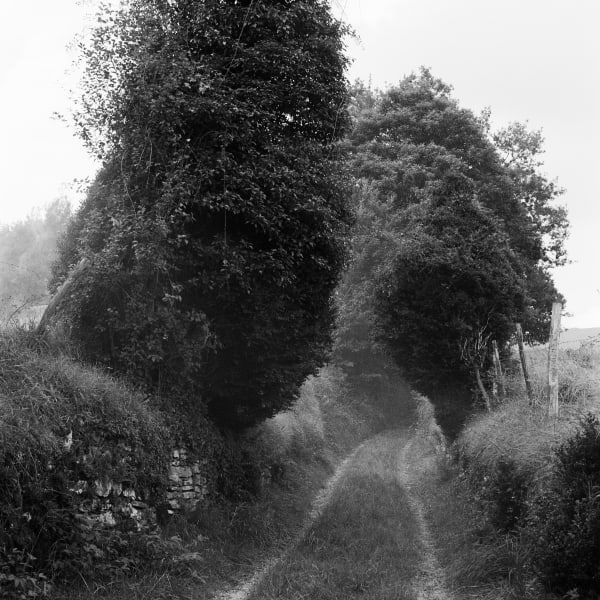 Path, Barcus, Pays Basque
