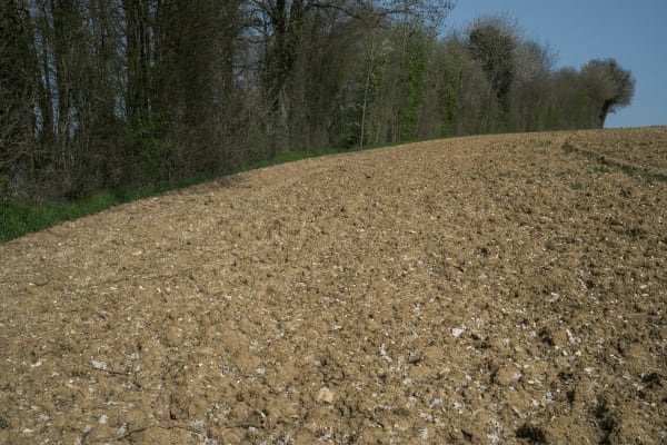 Sans titre (Perche, n°1)