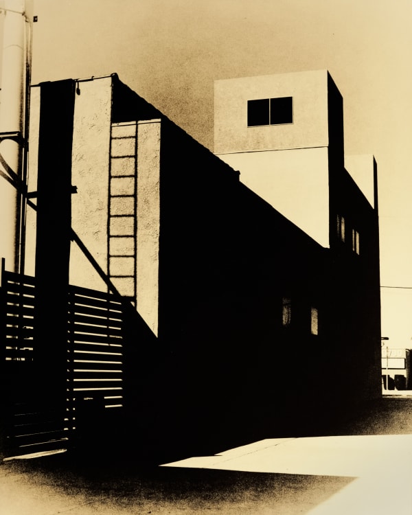 Guillaume Zuili, Mighty Shadow, 2022