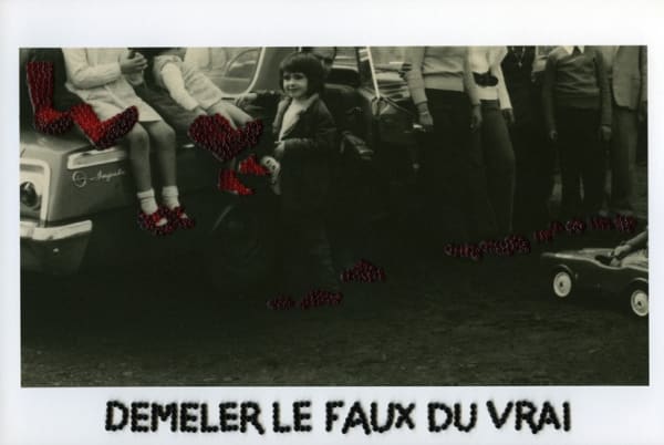 Carolle Bénitah, Démêler le faux du vrai, 2013