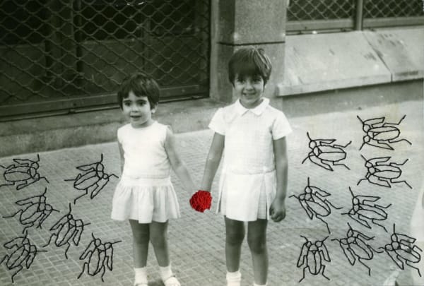 Carolle Bénitah, Les cafards, 2009-2014