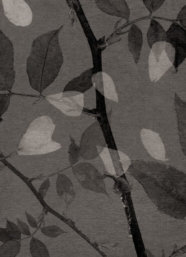 FLORE, Un jardin pour Eugène D. #08, 2022
