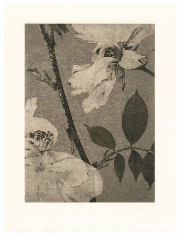 FLORE, Un jardin pour Eugène D. #09, 2022