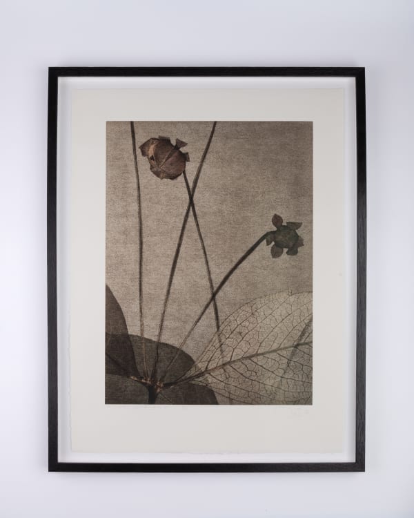 FLORE, Un jardin pour Eugène D. #02, 2022