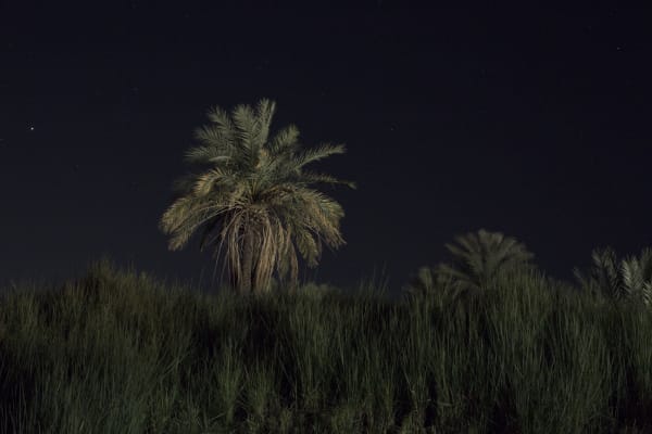 Taharqa et la nuit #11