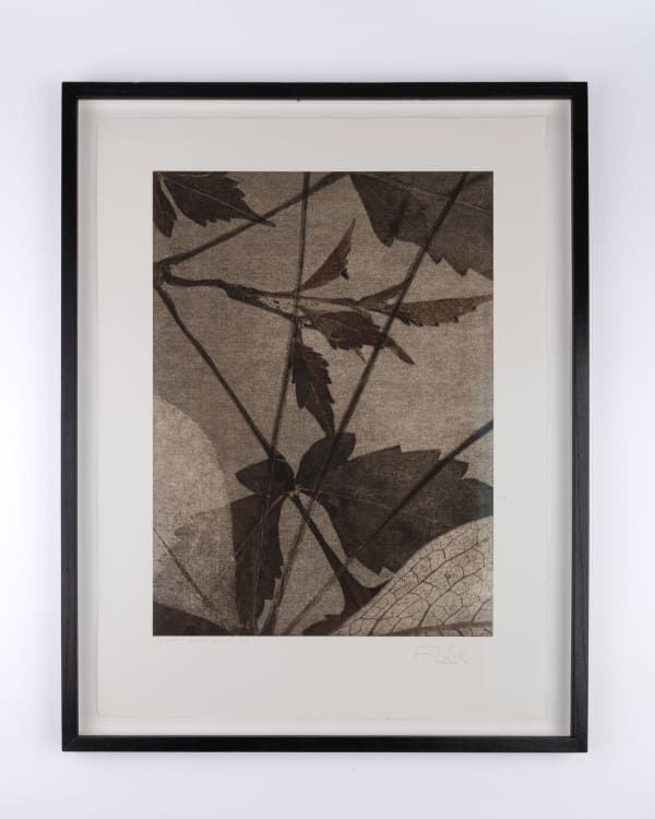 Un jardin pour Eugène D. #01