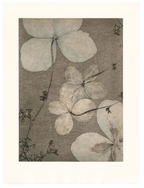 FLORE, Un jardin pour Eugène D. #10, 2022