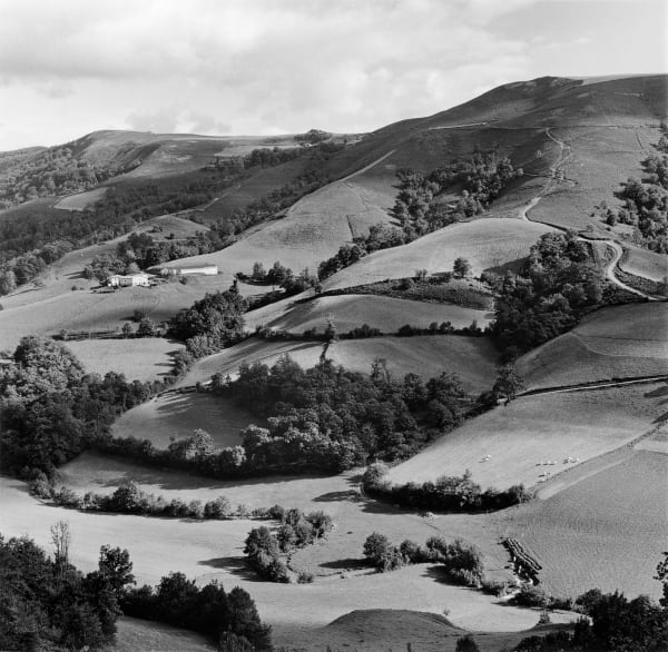 View from Madame Hatoig's. Behorleguy, France.