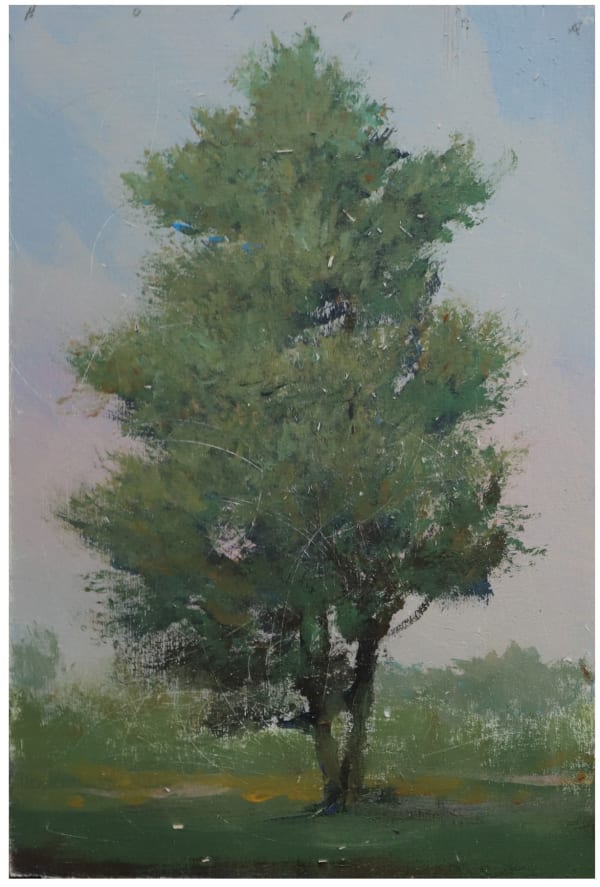 Peter Hoffer, Forrest (220203), 2020