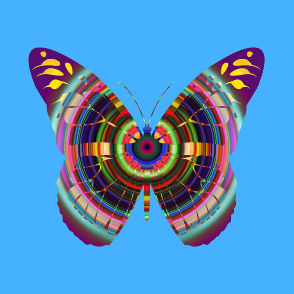 Franco DeFrancesca, Recollection, 2025