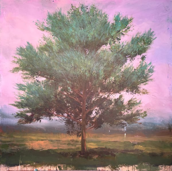 Peter Hoffer, Colorado, 2025