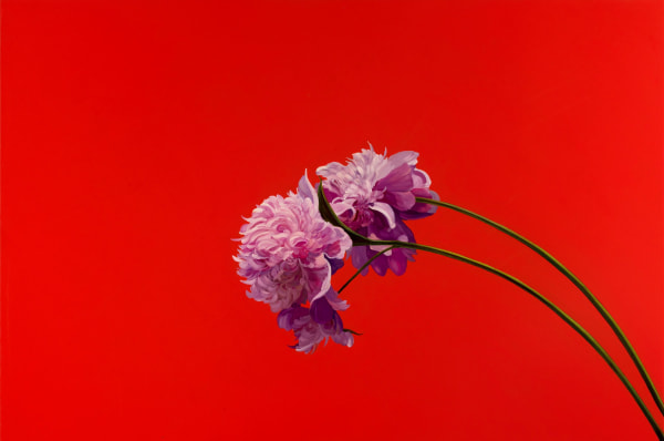 James Lahey, Three Peonies, 2024-2025