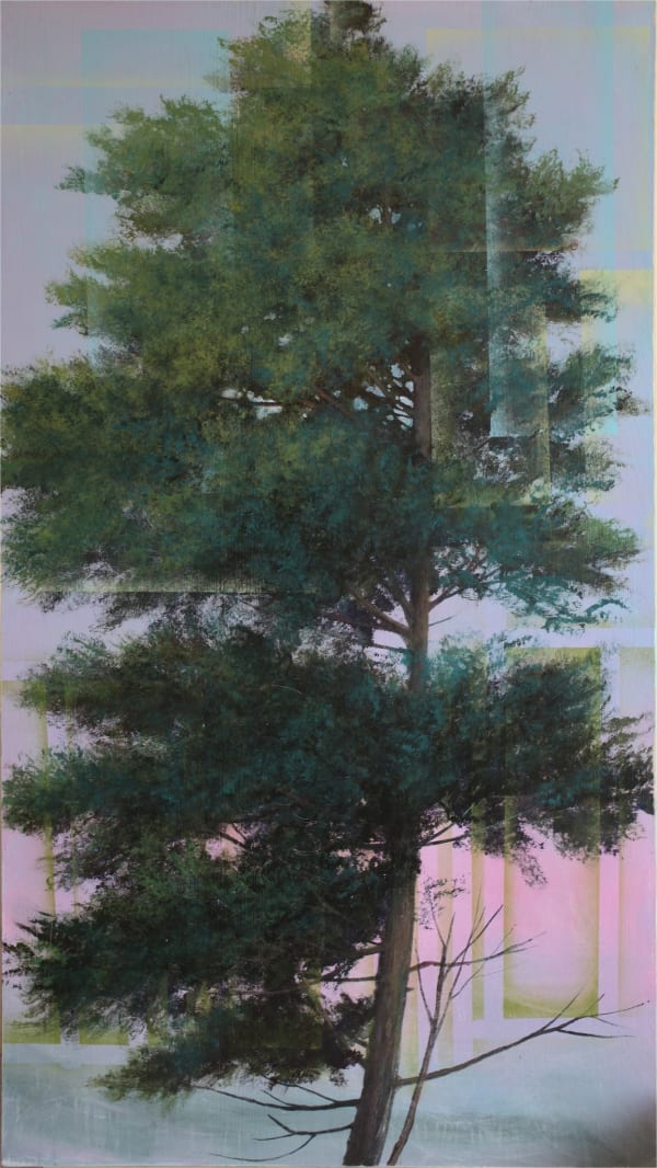 Peter Hoffer, Russian Pine, 2015