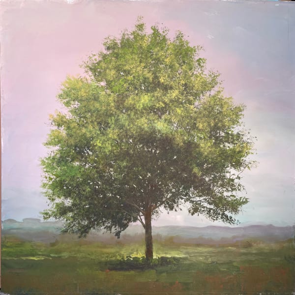 Peter Hoffer, August Beech, 2025