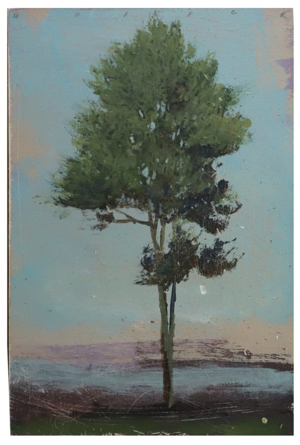 Peter Hoffer, Forrest (220201), 2020