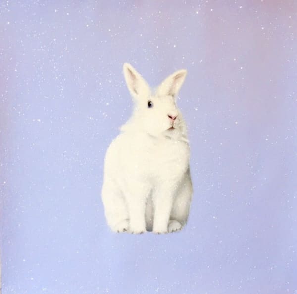 Paula Urzica - Blue Bunny, 2022