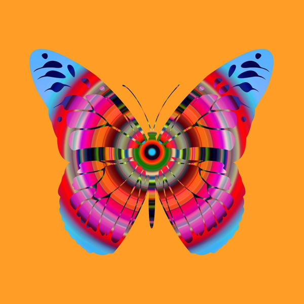 Franco DeFrancesca, Cognitive Infiltration , 2024