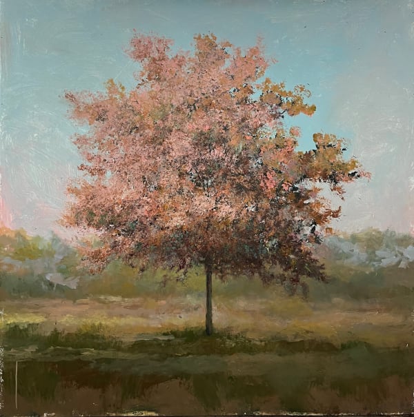 Peter Hoffer, Current, 2024