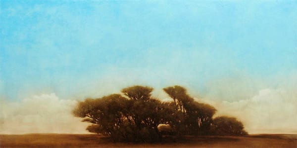 Robert Marchessault, Varnaskil Spring, 2005