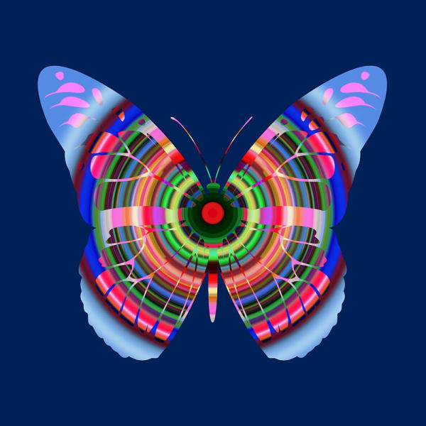 Franco DeFrancesca, Cognitive Dispersion, 2022