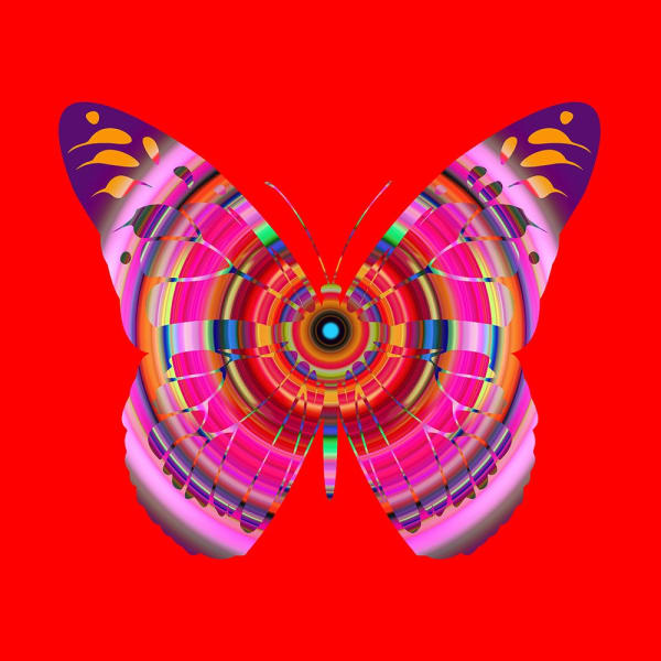 Franco DeFrancesca, Exteroceptive, 2022