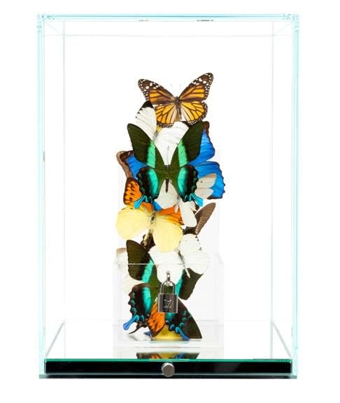 Roman Feral, LOVE LOCK COLORFUL II, 2025