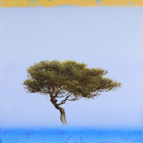 Robert Marchessault, Lakken, 2025