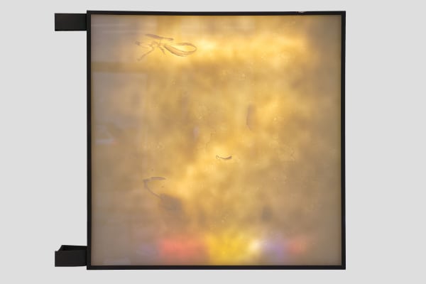 Felix Kultau, Dawn (White Provence), 2024