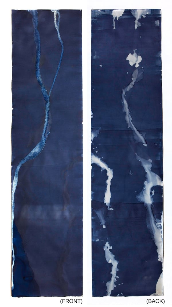 Meghann Riepenhoff 梅根·瑞普霍夫, Littoral Drift #221 (RectoVerso, Ft. Ward Beach, WA 06.15.15, Tidal Stream, Floated and Flooded), 2015