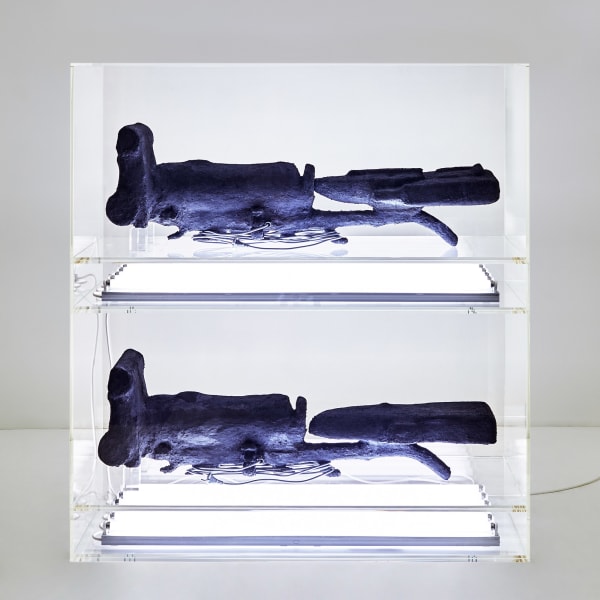 Michael Müller, Hoover Generation Future Smart Pure White and Luxor Black, Smokey Grey Transparent, 2017-2018