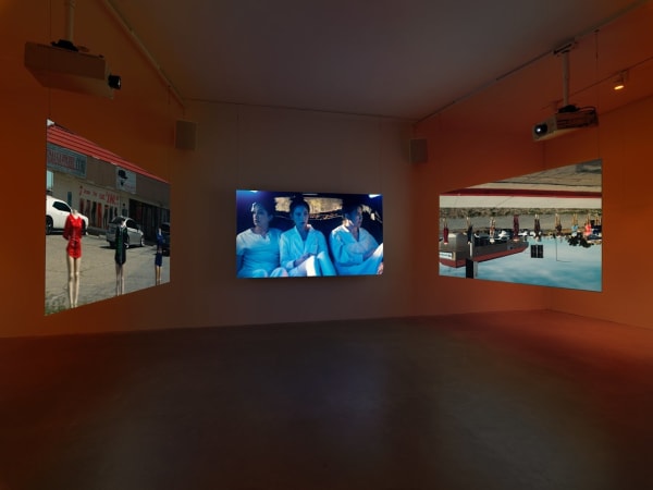 Alison Nguyen, history as hypnosis (installation version), 2023