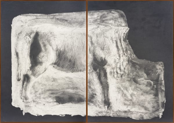 Tang Kwong San 鄧廣燊, Regurgitated Body II 反芻的皮囊 ll, 2024