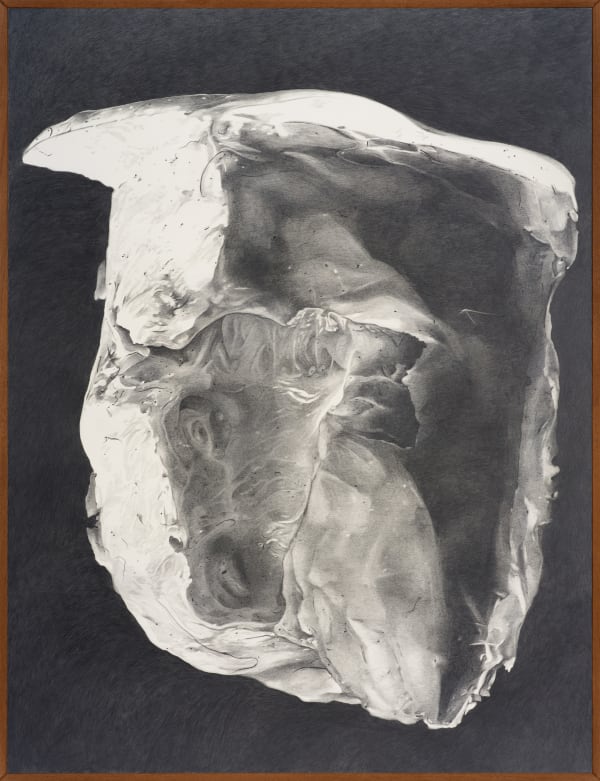 Tang Kwong San 鄧廣燊, Regurgitated Body I 反芻的皮囊 l, 2024